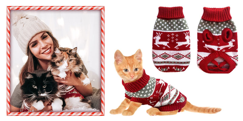 argyle-christmas-jumpers-for-cats