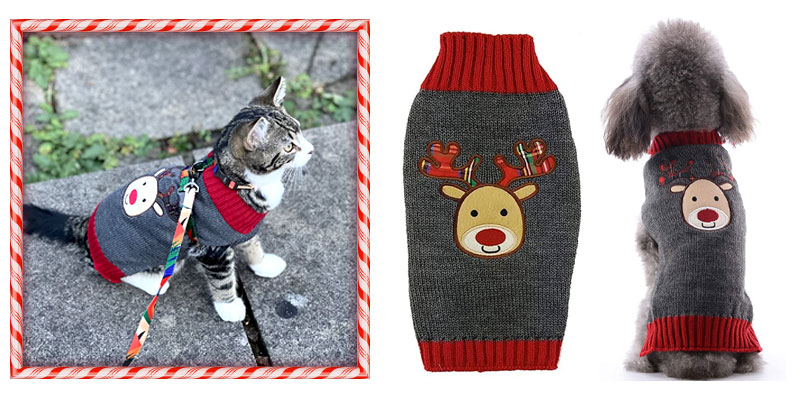 cute-jumpers-for-cats