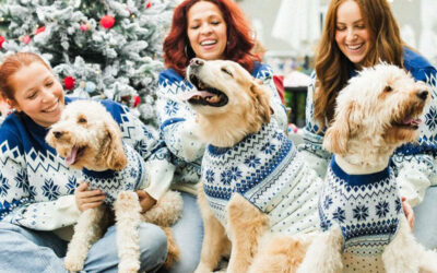 Top 10 Christmas Jumpers for Dogs in 2024: Keep Your Pup Festive and Warm!