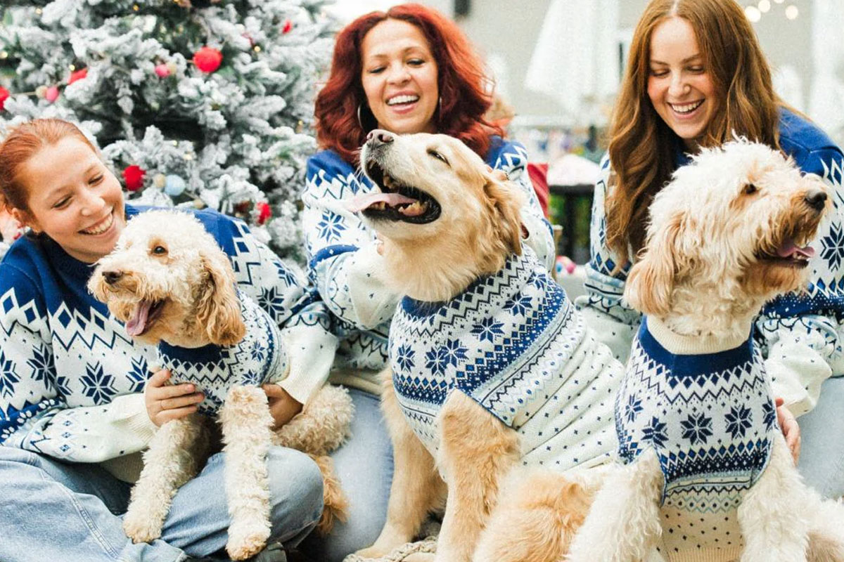 Christmas jumpers for dogs hotsell