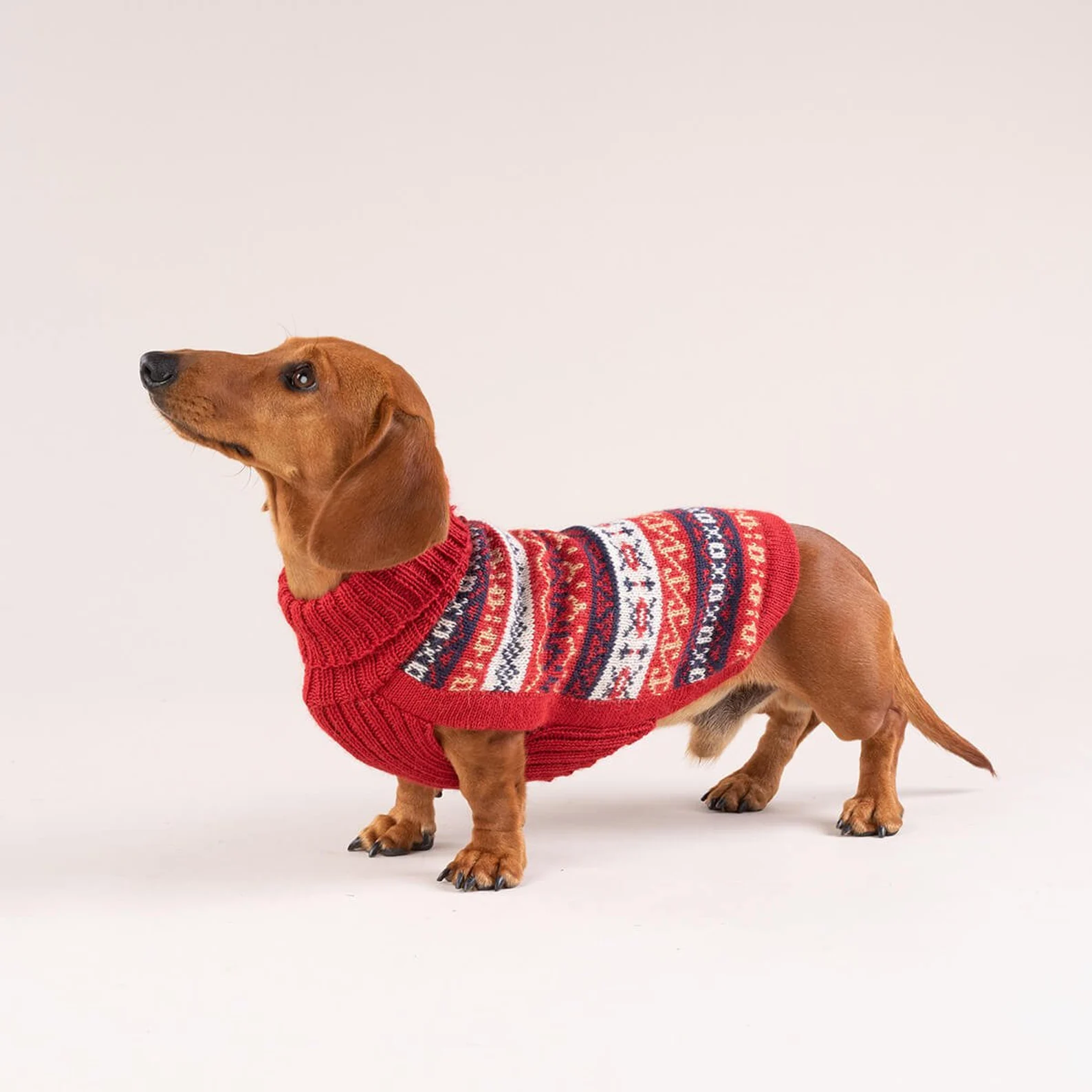 Handmade Alpaca Wool Christmas Jumper for Dogs