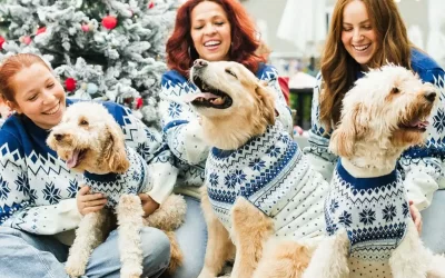 Top 10 Christmas Jumpers for Dogs in 2024